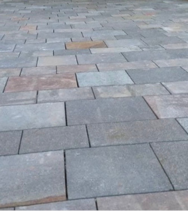 Jardín-Tucuman-Lajas-Productos-1 (2)