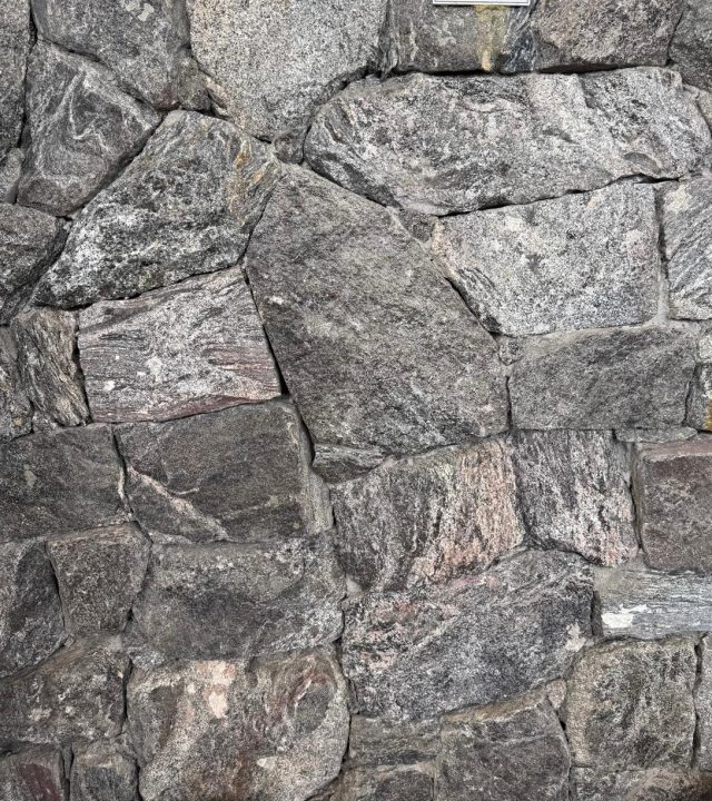 Laja Micosa Negra Irregular