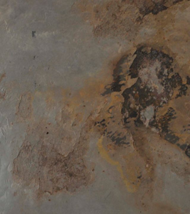 golden-pedraflex (2)